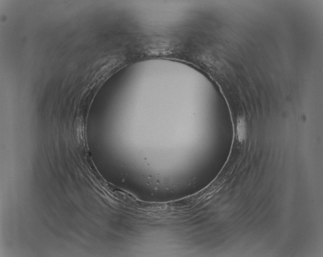 X0000065231444200603031701
