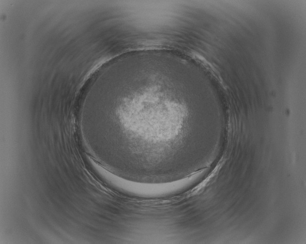 X0000065231449200603031701