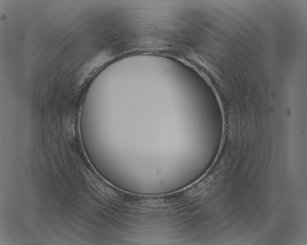 X0000065231451200603031701