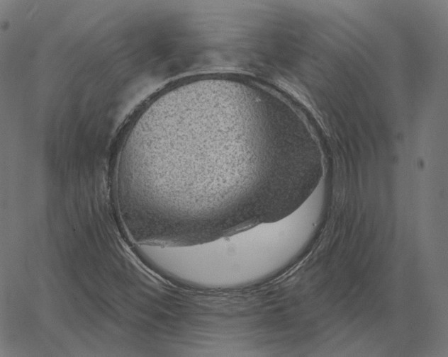 X0000065231452200603031701