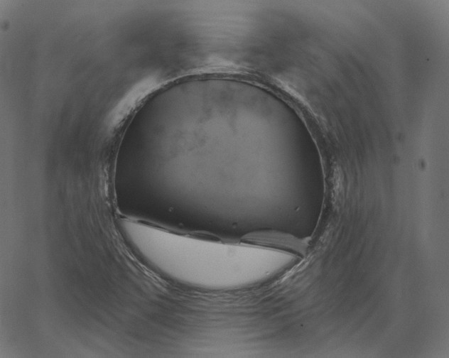X0000065231455200603031701