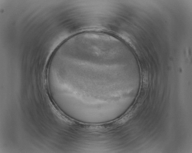 X0000065231466200603031701
