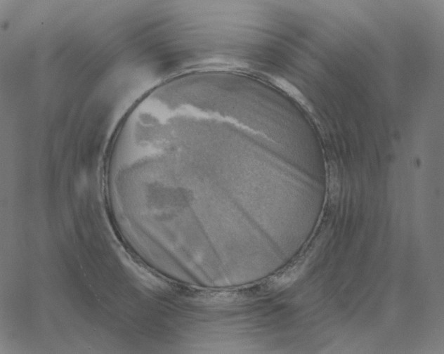 X0000065231474200603031701