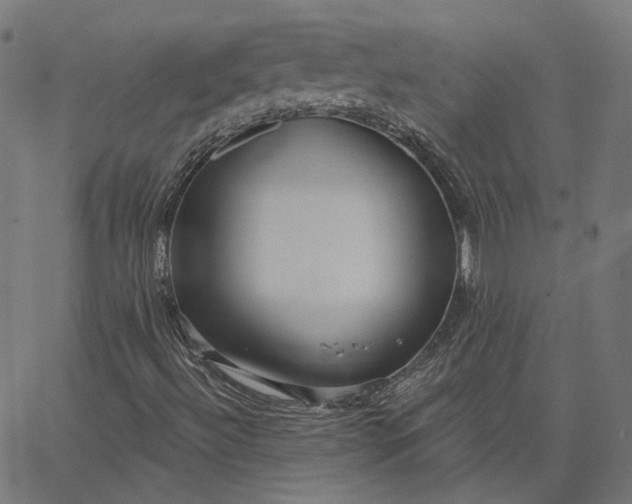 X0000065231492200603031700