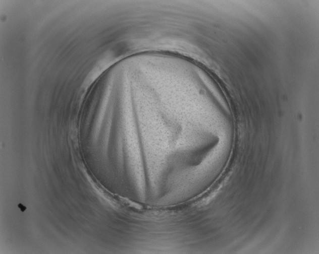 X0000065231521200603031700