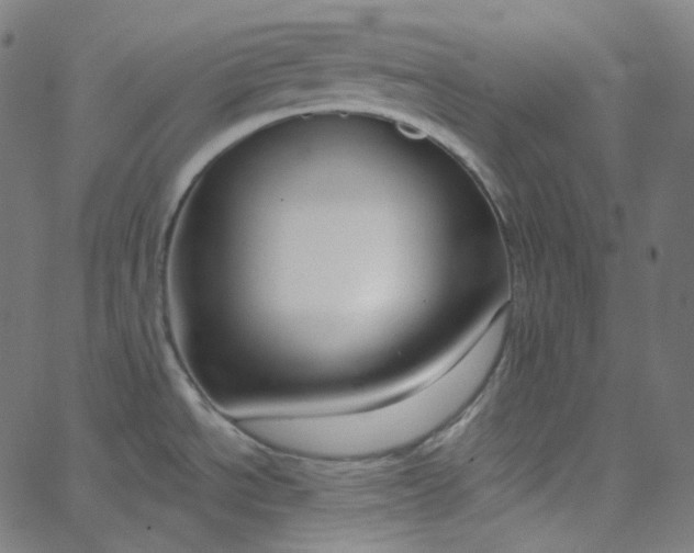 X0000065231534200603031700