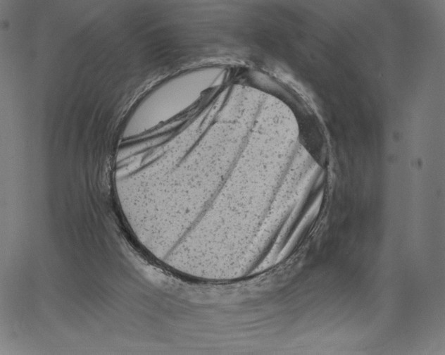 X0000065230009200603101606