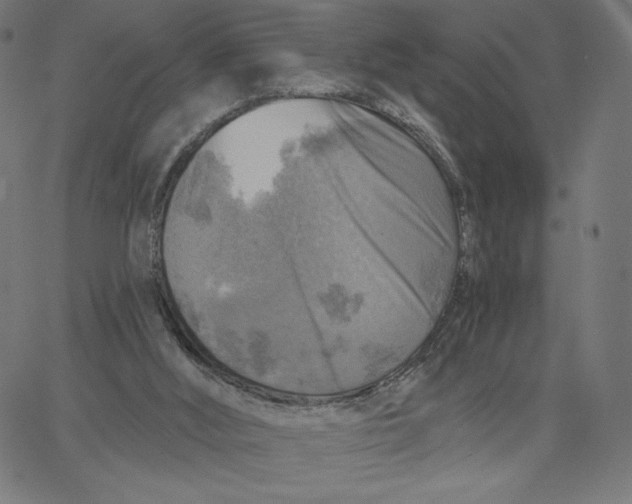 X0000065230012200603101606