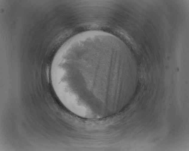 X0000065230022200603101606