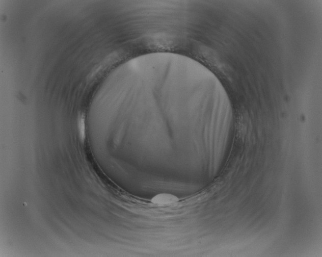 X0000065230027200603101605