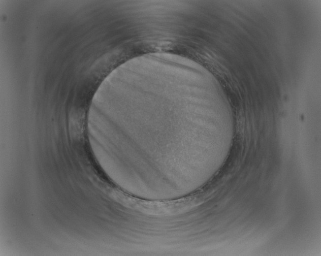 X0000065230030200603101605