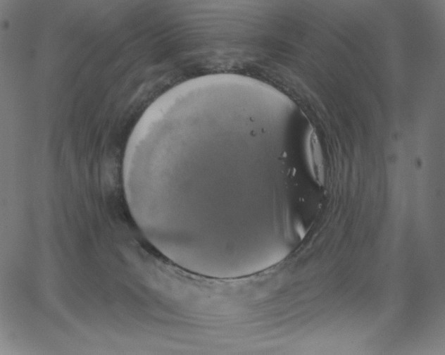X0000065230035200603101605