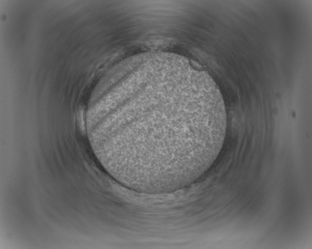 X0000065230042200603101605