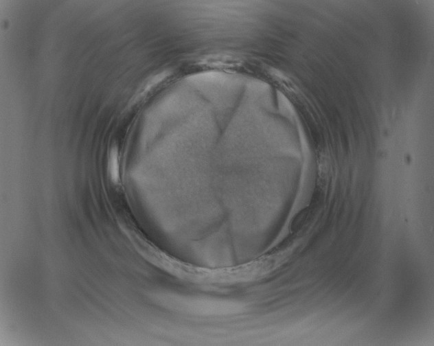 X0000065230046200603101605