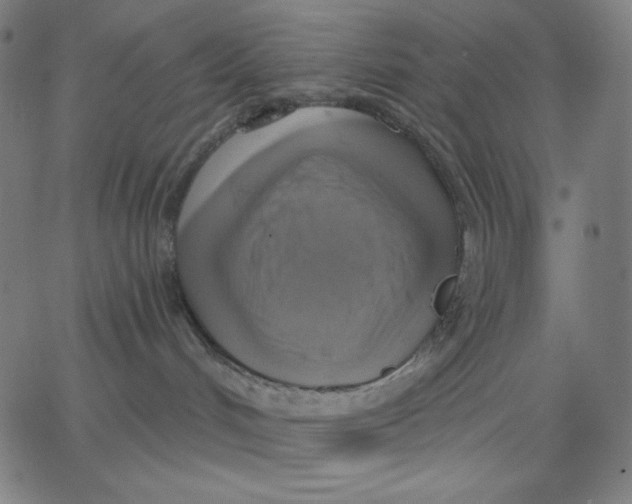 X0000065230048200603101605