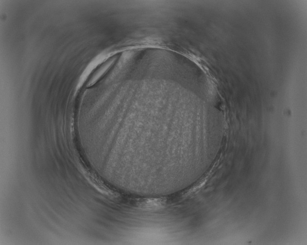 X0000065230056200603101604