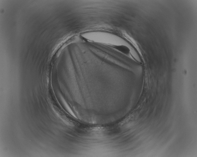 X0000065230059200603101604