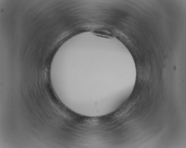 X0000065230071200603101605