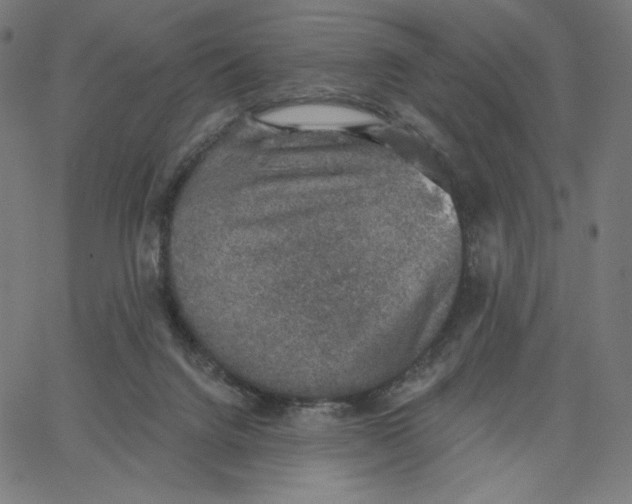 X0000065230072200603101605