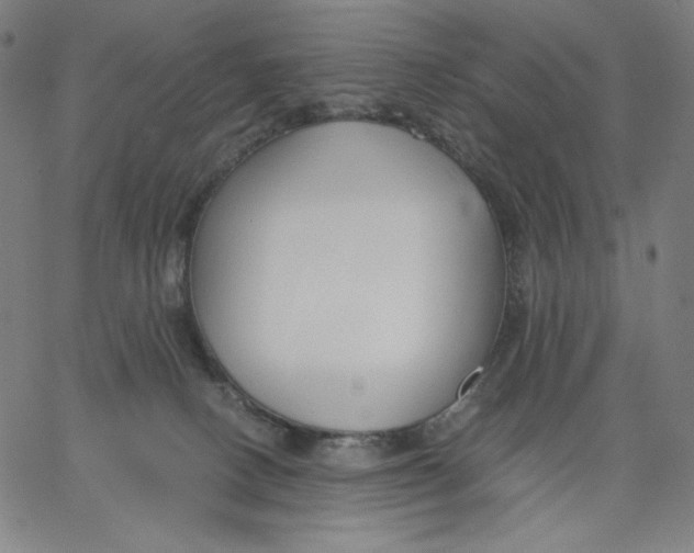 X0000065230082200603101605