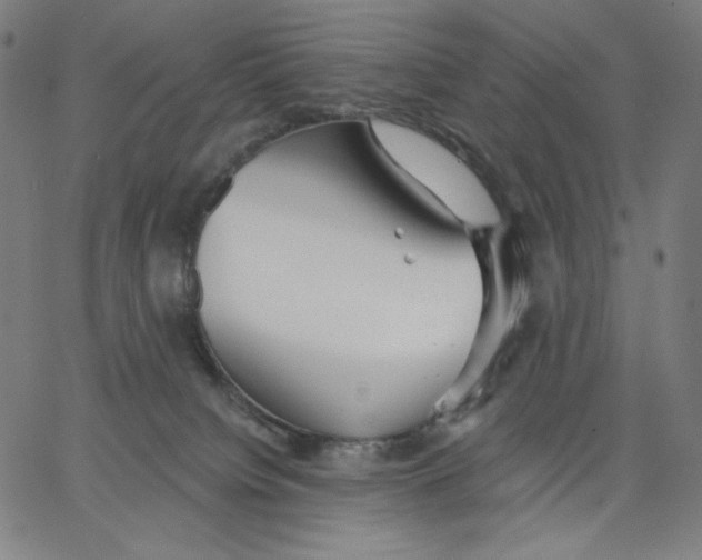 X0000065230084200603101605