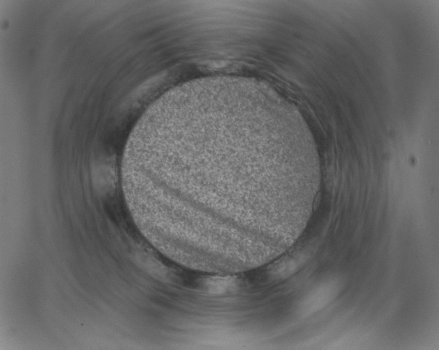 X0000065230085200603101605