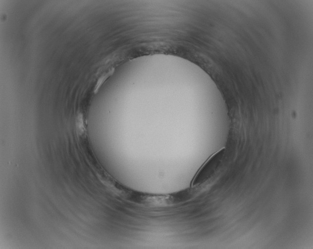 X0000065230089200603101605