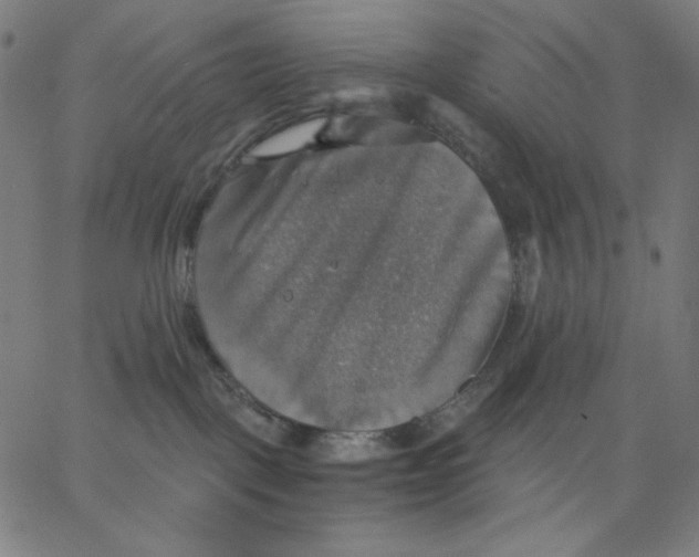 X0000065230093200603101605