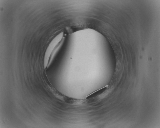 X0000065230096200603101605