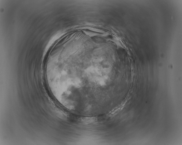 X0000065230102200603101604