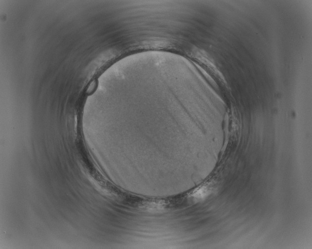 X0000065230110200603101604