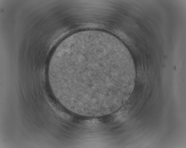 X0000065230112200603101604