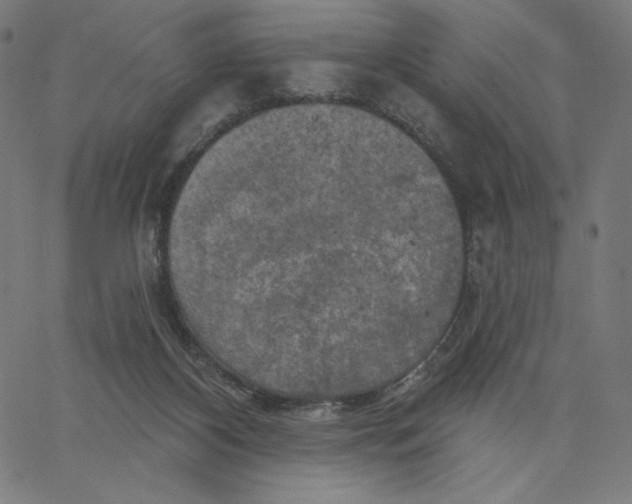 X0000065230116200603101604
