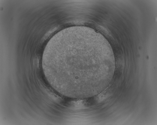 X0000065230120200603101604