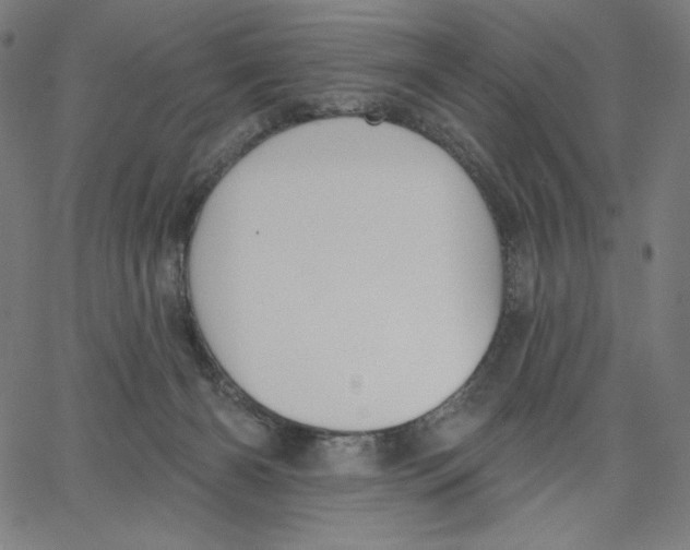 X0000065230126200603101604