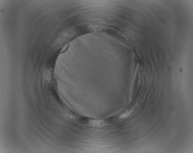 X0000065230139200603101604