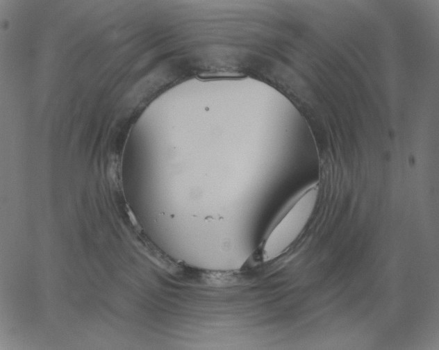 X0000065230141200603101603