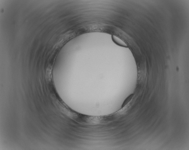X0000065230142200603101603