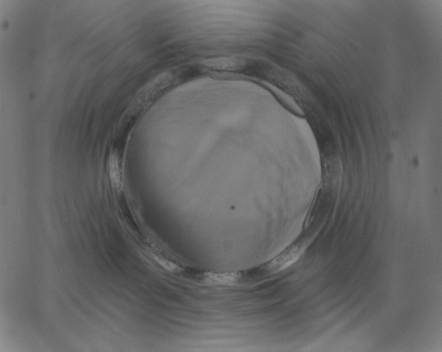 X0000065230143200603101603