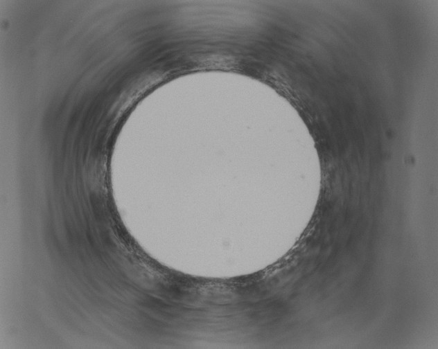 X0000065230146200603101603