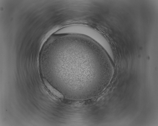 X0000065230148200603101603