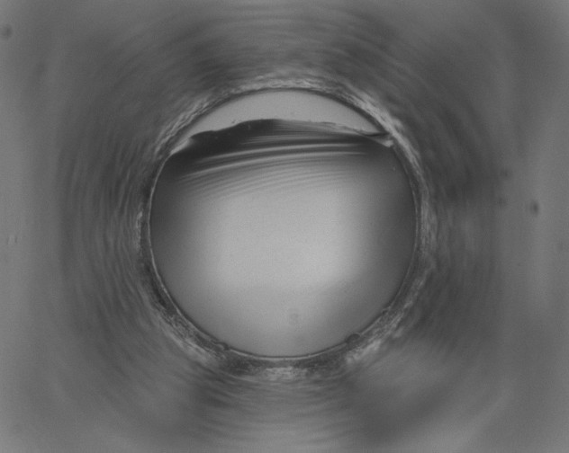 X0000065230153200603101603