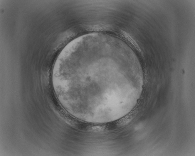 X0000065230163200603101603