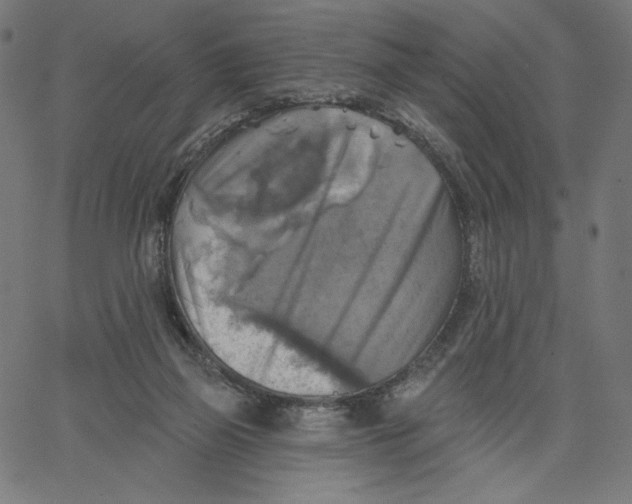 X0000065230165200603101603