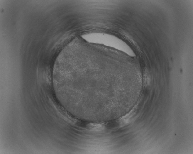X0000065230170200603101603
