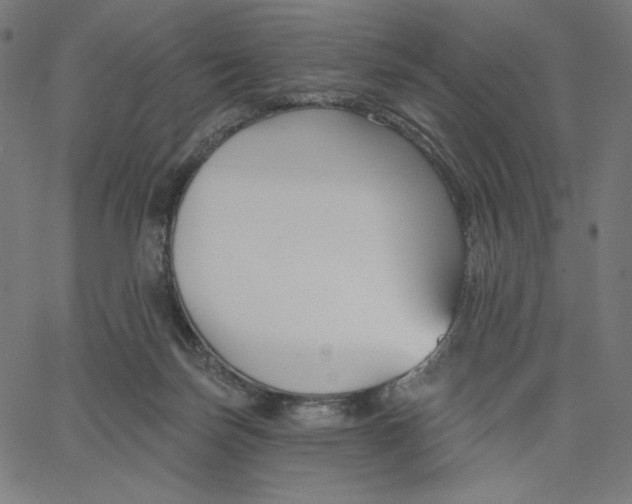 X0000065230171200603101603
