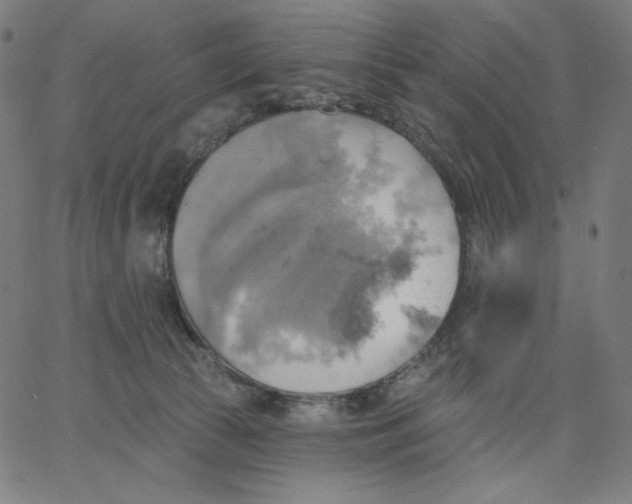 X0000065230177200603101603