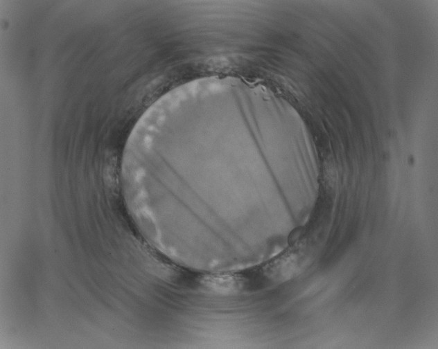 X0000065230181200603101603