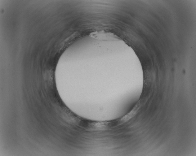 X0000065230184200603101603