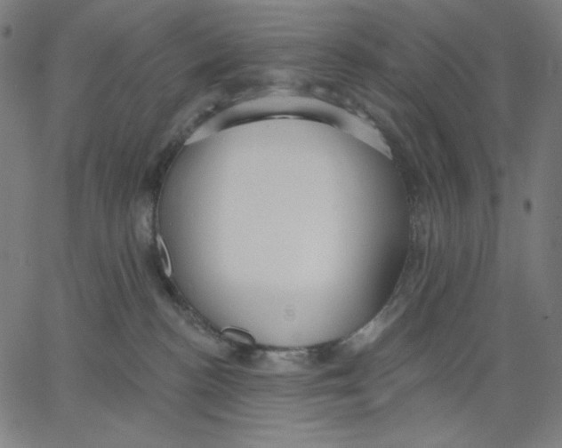 X0000065230188200603101603